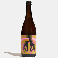 Load image into Gallery viewer, Hands of Desire | Barrel Aged | Gose Sour Ale
